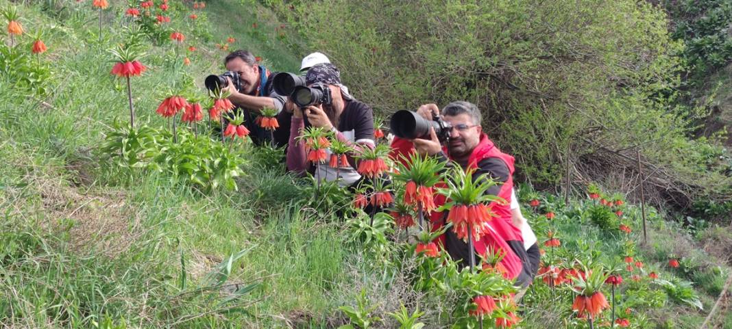 Bu insanlar neye bakıyor? Gece-gündüz nöbet tutuyorlar, ilk kez görenler şaştı kaldı! 37